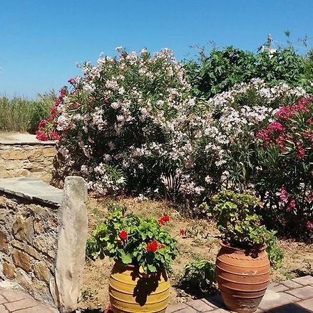 Villa Danai Agia Anna  Exteriér fotografie